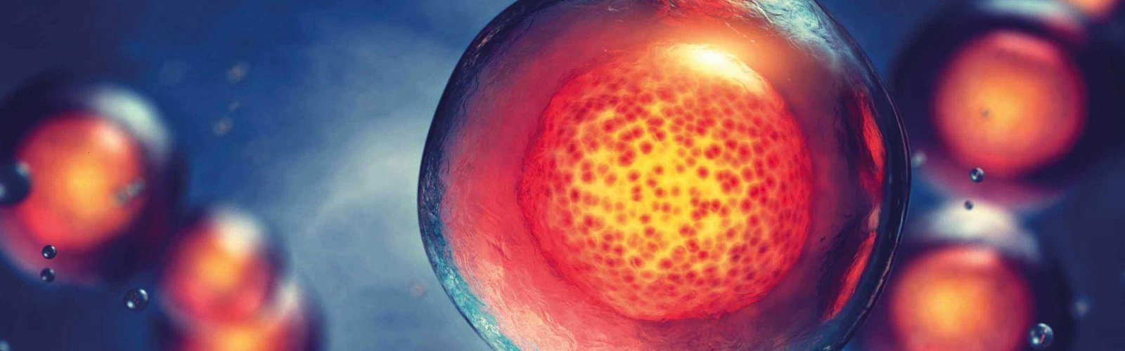 Stammzell Exosom Therapie